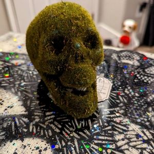 Moss covered sugar skull curiosity